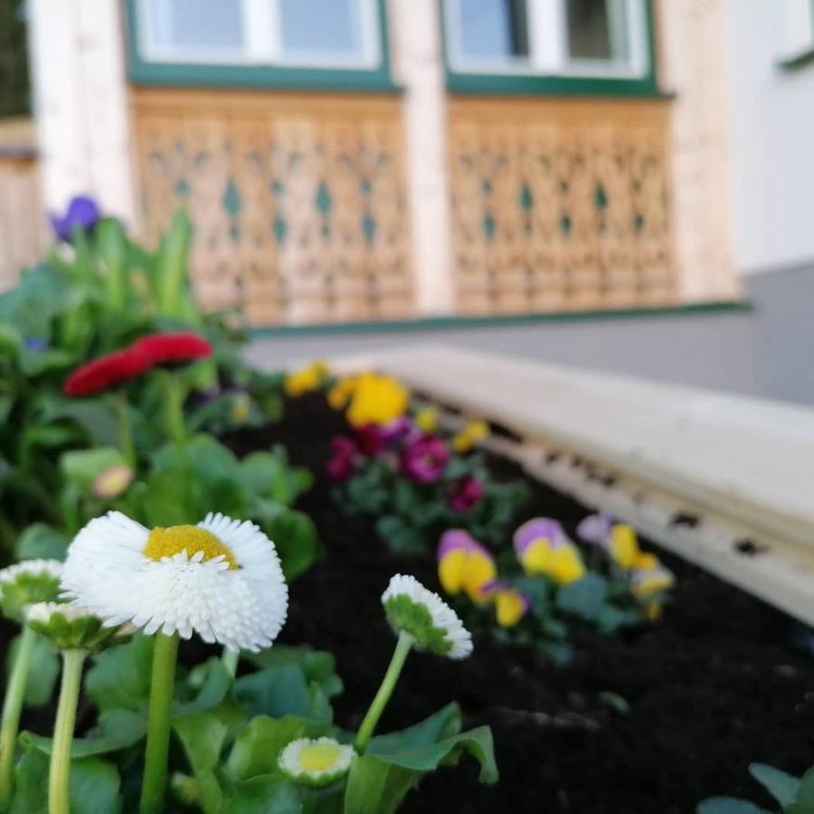 Ferienwohnungen Kalss Nahe Altaussee Bad Aussee Esterno foto